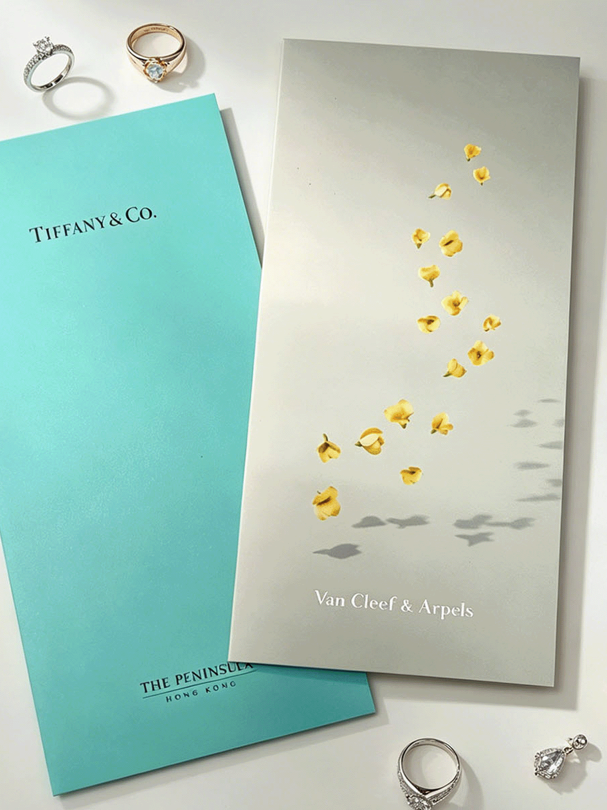 A ring is on a table next to a Tiffany & Co. booklet.

Description generated by AI