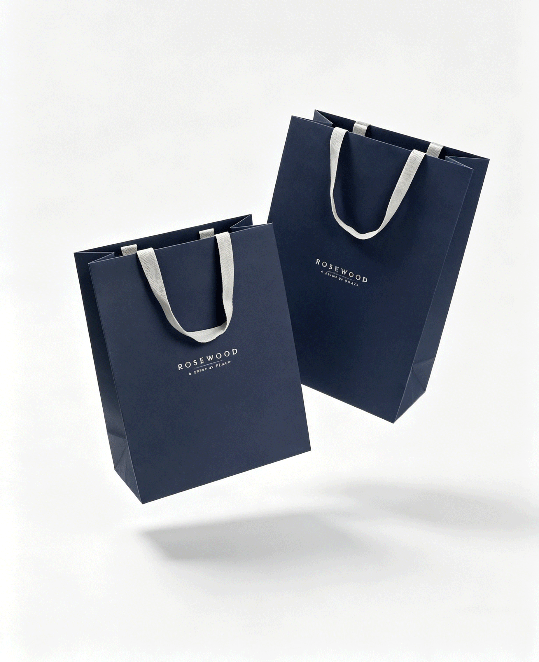 Two blue bags with white handles.

Description generated by AI